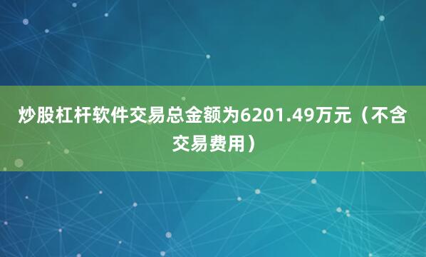 炒股杠杆软件交易总金额为6201.49万元(不含交易费用)