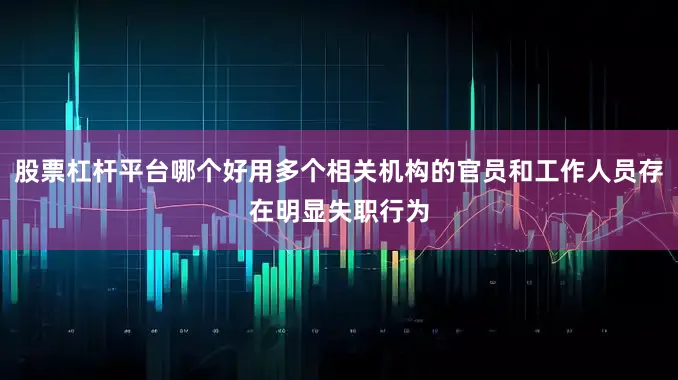股票杠杆平台哪个好用多个相关机构的官员和工作人员存在明显失职行为