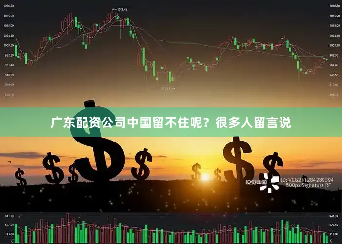 广东配资公司中国留不住呢？很多人留言说