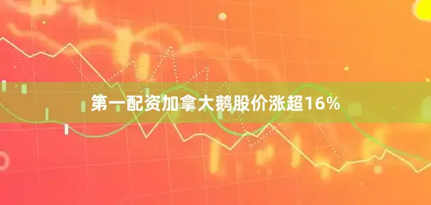 第一配资加拿大鹅股价涨超16%