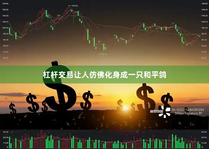 杠杆交易让人仿佛化身成一只和平鸽