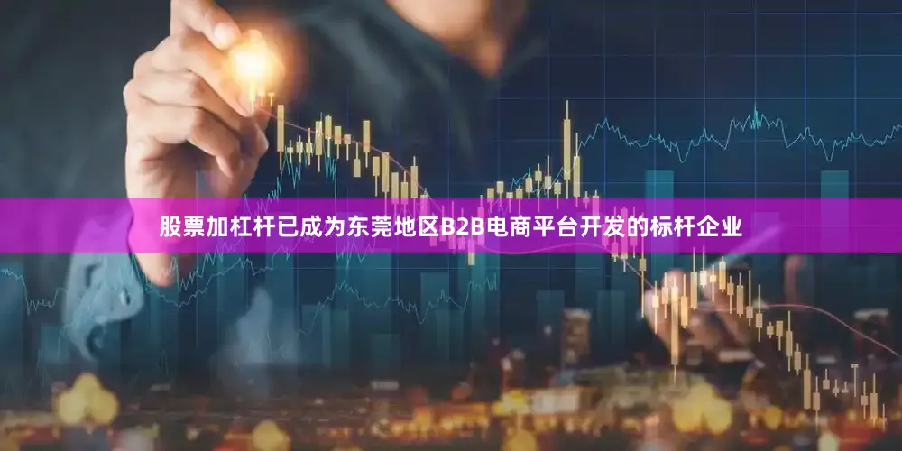 股票加杠杆已成为东莞地区B2B电商平台开发的标杆企业