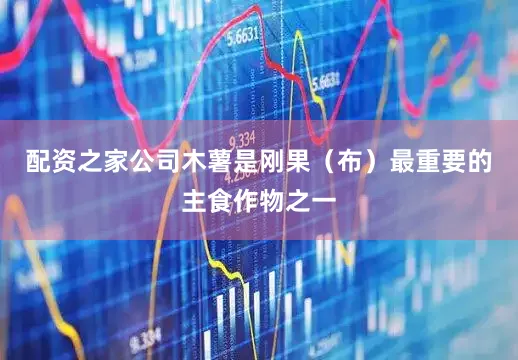 配资之家公司　　木薯是刚果（布）最重要的主食作物之一